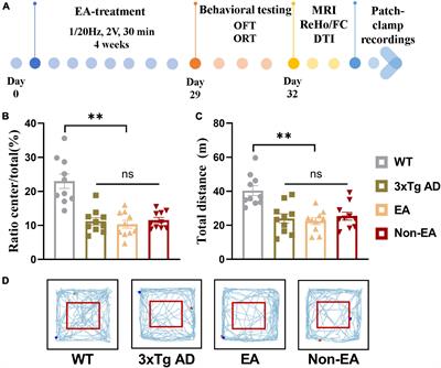 Modulation of entorhinal cortex–hippocampus connectivity and recognition memory following electroacupuncture on 3×Tg-AD model: Evidence from multimodal MRI and electrophysiological recordings